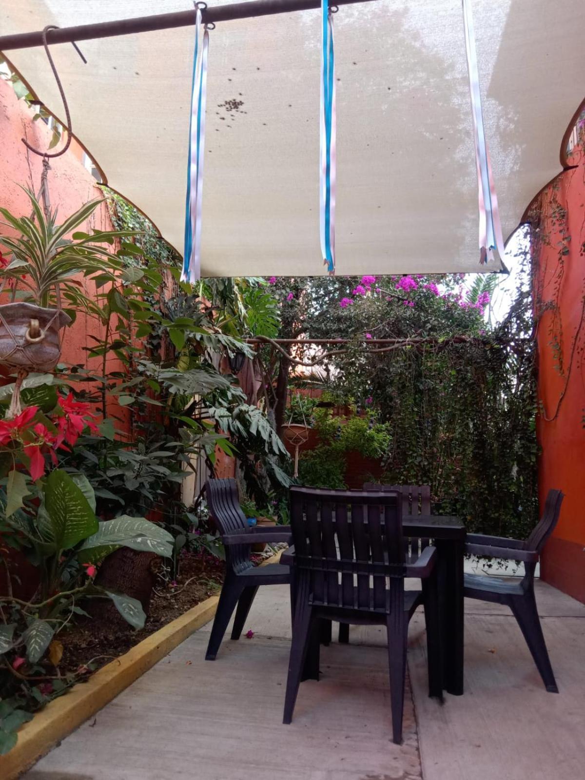 Casa Guanab Guest House Oaxaca Экстерьер фото