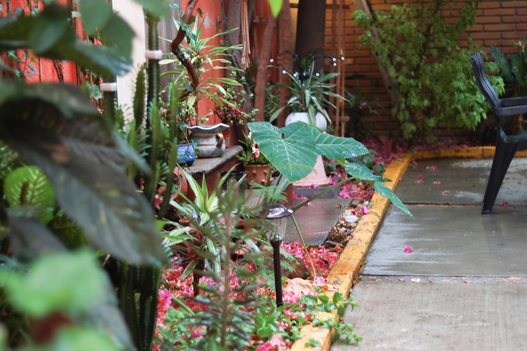 Casa Guanab Guest House Oaxaca Экстерьер фото