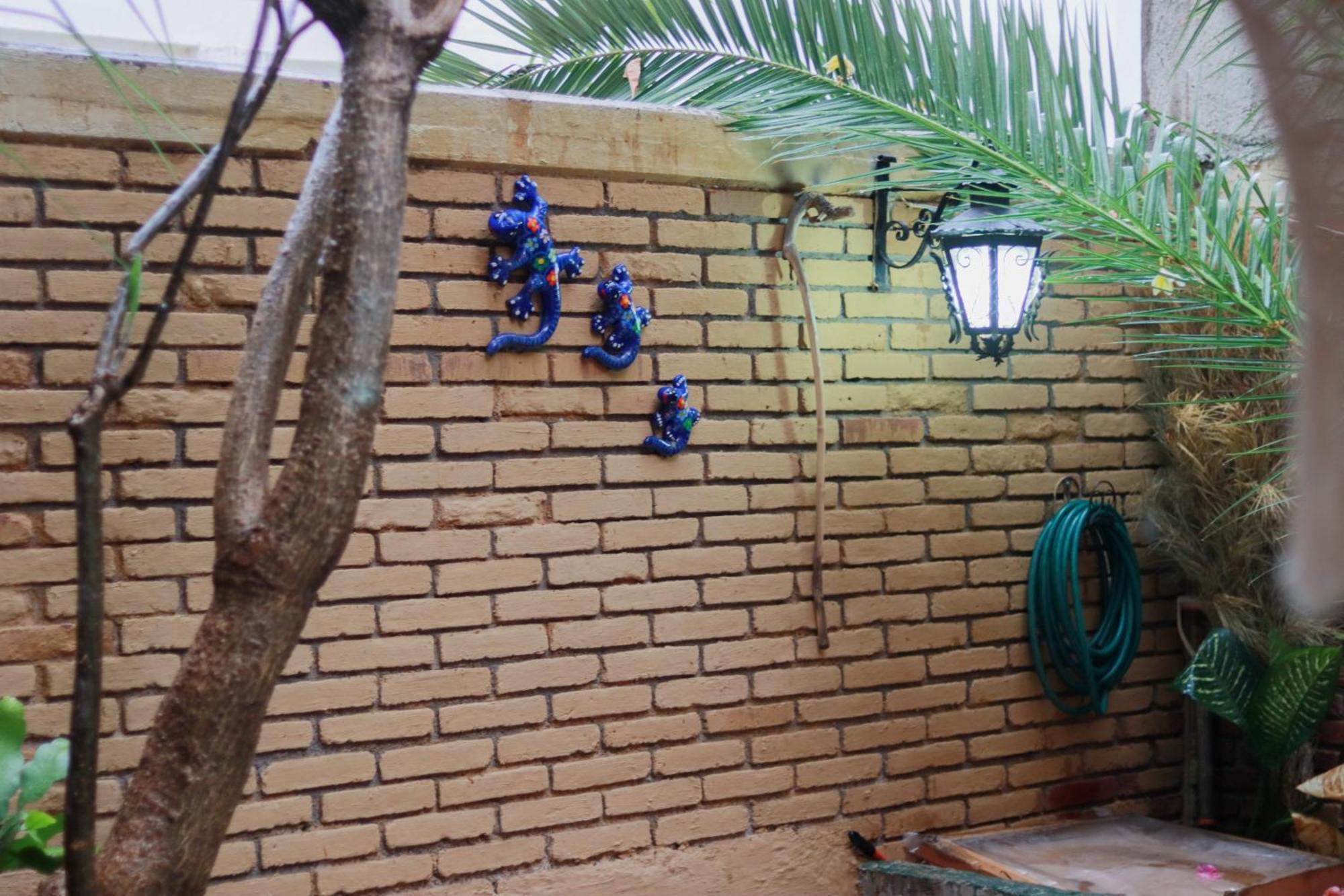 Casa Guanab Guest House Oaxaca Экстерьер фото