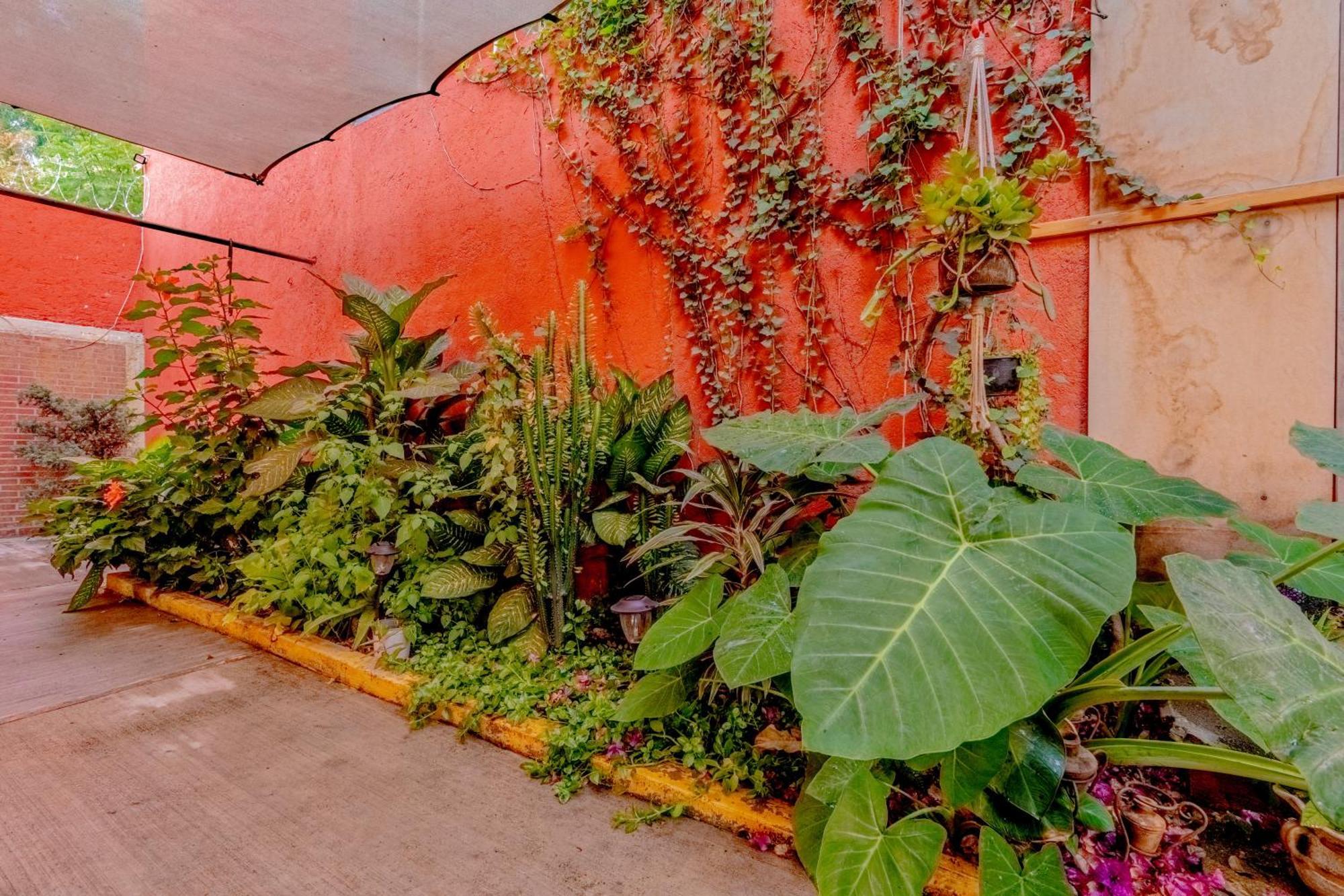 Casa Guanab Guest House Oaxaca Экстерьер фото